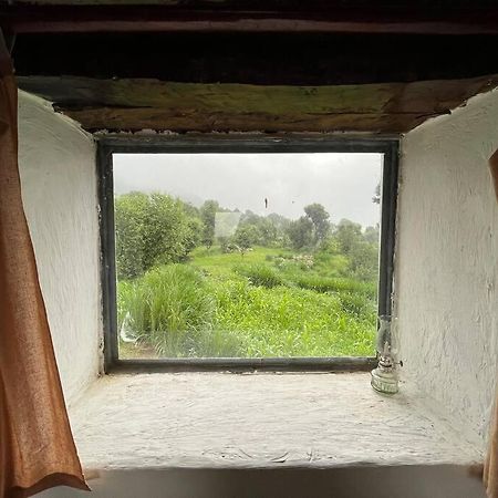 The Attic Library Villa Bir  Luaran gambar